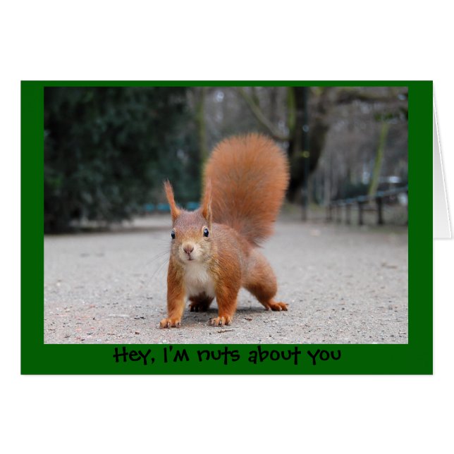 ちょっと、私はあなたについてくだらないです (正面横)