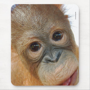 ちょっと、私はかわいいオランウータンの写真です マウスパッド