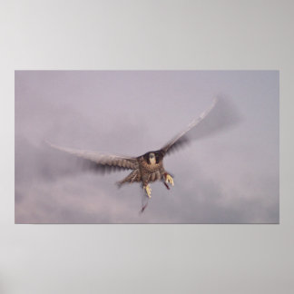 ちょストップっと… ポスター