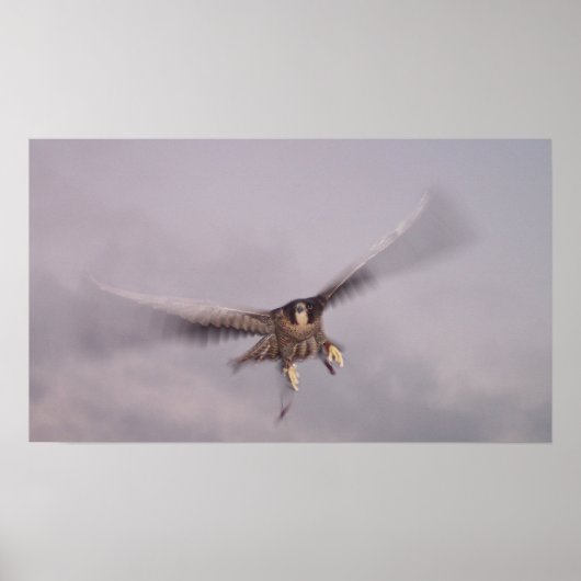 ちょストップっと… ポスター (正面)