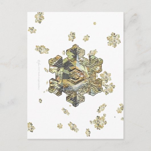 ちらちら輝く雪片はがき ポストカード (正面)
