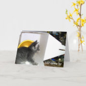 「ち来ょうどIと申し上げま気にす」子猫カード カード (黄色い花)