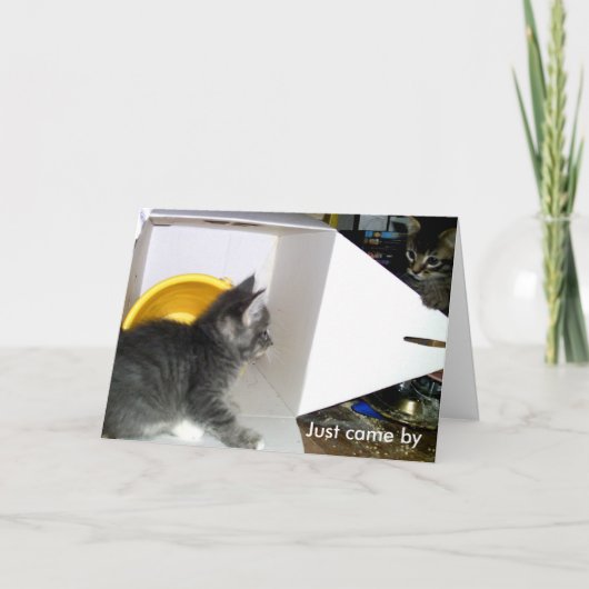 「ち来ょうどIと申し上げま気にす」子猫カード カード (正面)