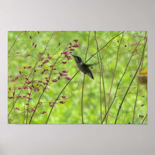 つかの間の夏の友人 ポスター (正面)