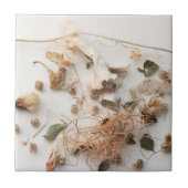 つかの間の瞬間 タイル (正面)