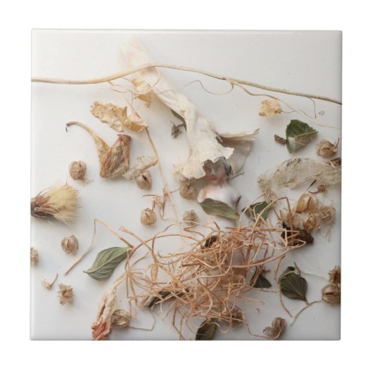 つかの間の瞬間 タイル (正面)