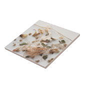 つかの間の瞬間 タイル (側面)