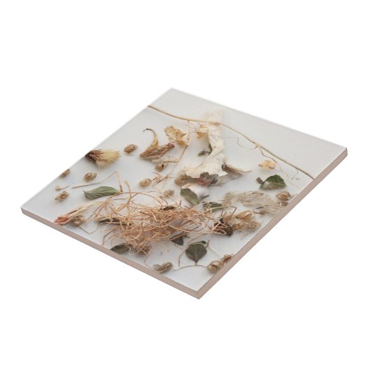 つかの間の瞬間 タイル (側面)