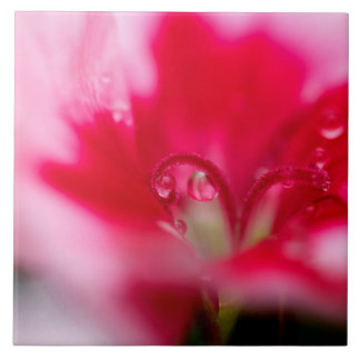 "つかまえられる大きい陶磁器の写真のタイル" タイル