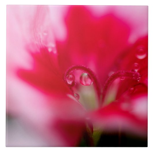 "つかまえられる大きい陶磁器の写真のタイル" タイル (正面)