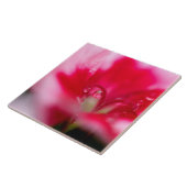 "つかまえられる大きい陶磁器の写真のタイル" タイル (側面)