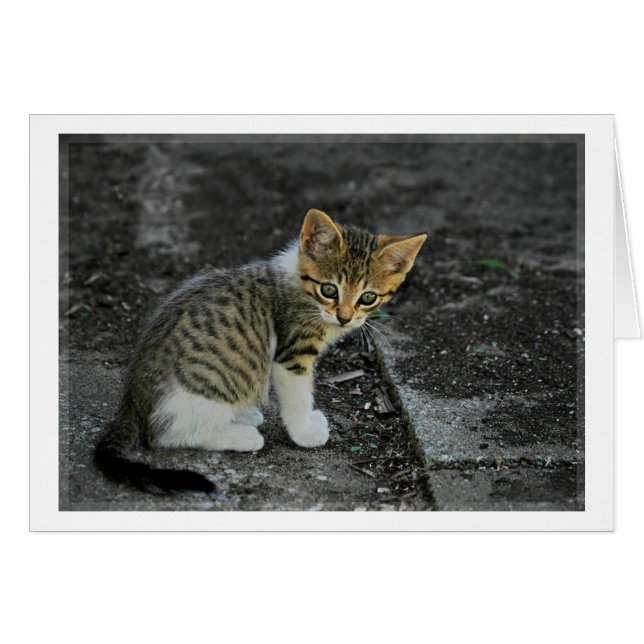 つかまえられる (正面横)