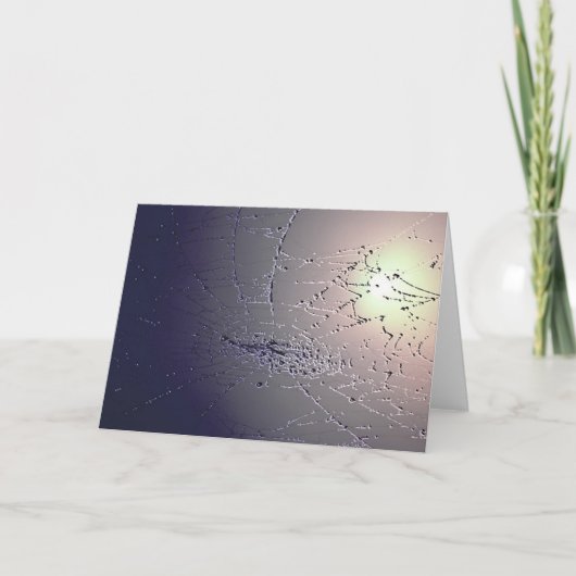 つかまえられる! カード (正面)