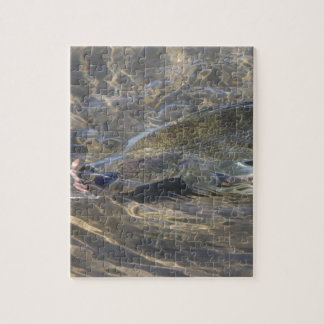 つかまえられるWalleye ジグソーパズル