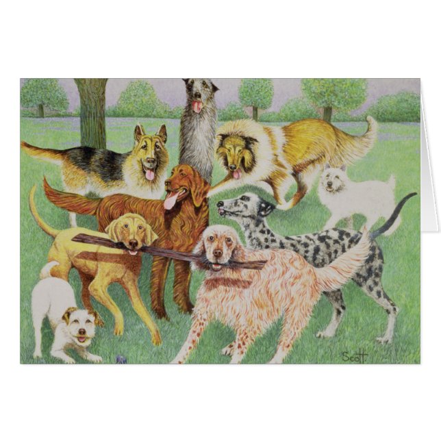 つかまえ、運んで下さい (正面横)