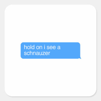 つかまってシュナウザーが見える スクエアシール