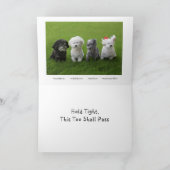 つかむ カード (内部)