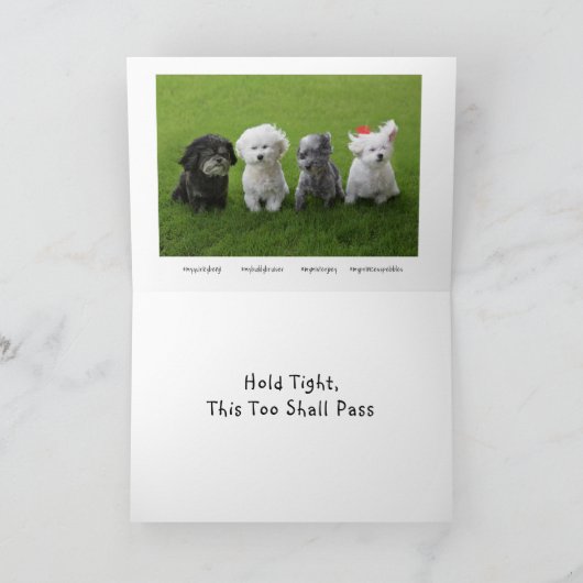 つかむ カード (内部)