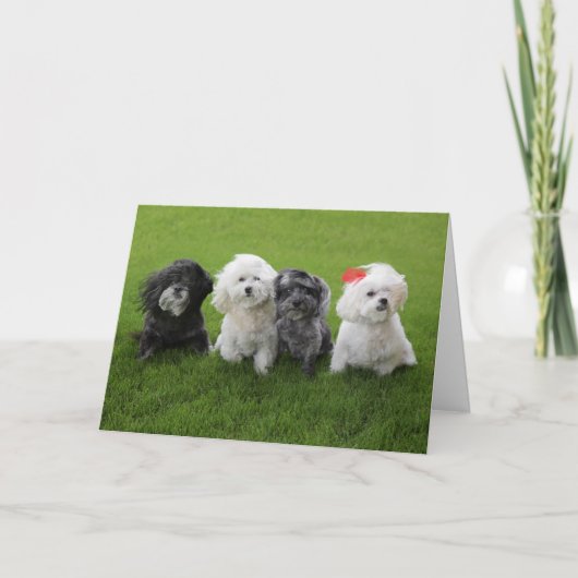 つかむ カード (正面)