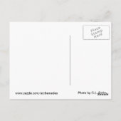 つかむ ポストカード (裏面)