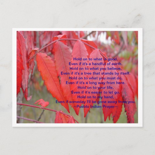 つかむ ポストカード (正面)