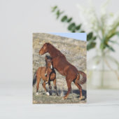 つかむ ポストカード (スタンド正面)