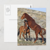 つかむ ポストカード (正面/裏面)