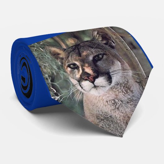 つけられていたクーガー、Snaarlingのクーガー、クーガーのプライド ネクタイ (ロール)