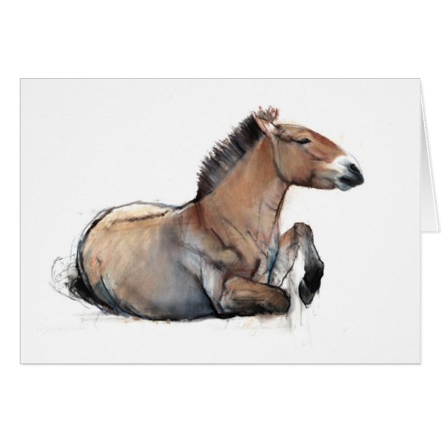 つけられていたPrzewalski 2011年 (正面横)