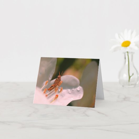 つつじの花とバッタのオーダーメイドメモ カード (小さな植物)