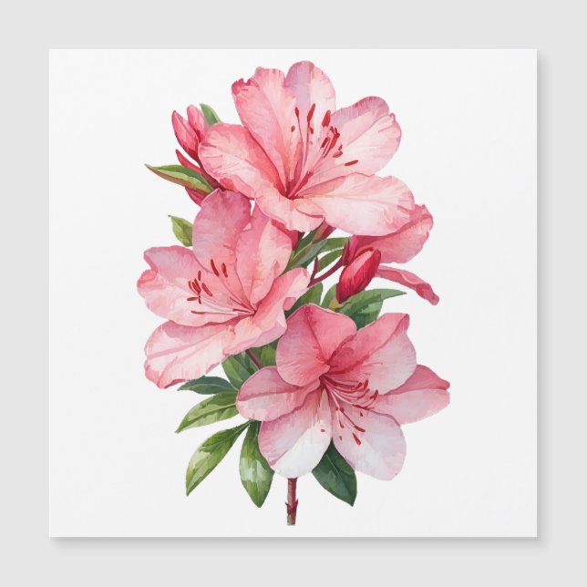 つつじの花の水彩画 (正面)
