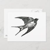 つばき ポストカード (正面/裏面)