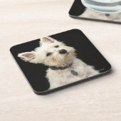 つばとのWestie (西の高地テリア) コースター (左側)