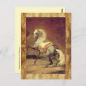 つばのある灰色の馬 ポストカード (正面/裏面)