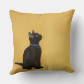 つばの黒い子ネコ クッション (裏面)