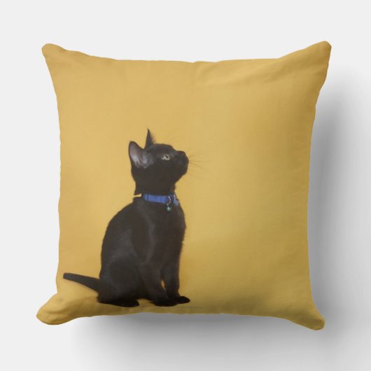 つばの黒い子ネコ クッション (正面)