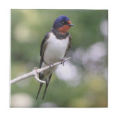 つばめのタイル タイル (正面)