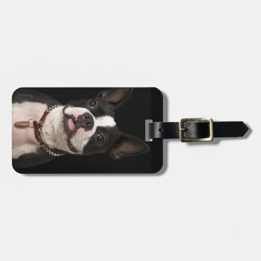 つばを持つボストン微笑のテリア ラゲッジタグ (正面横)