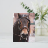 つば付き馬はがき ポストカード (スタンド正面)