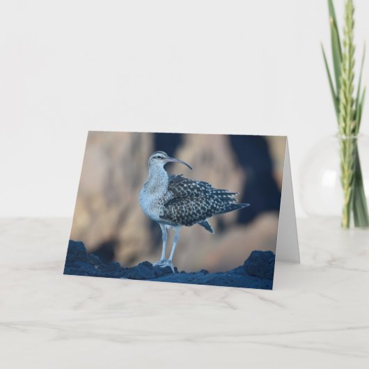 つば太ももの巻き毛 カード (正面)