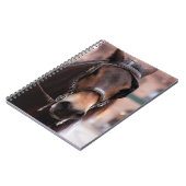 つば馬 ノートブック (左側)