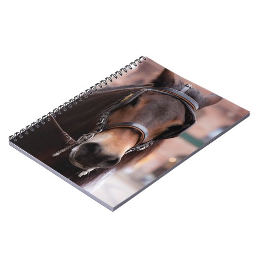 つば馬 ノートブック (左側)