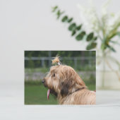 つば ポストカード (スタンド正面)