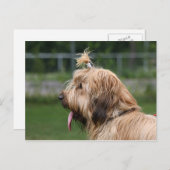 つば ポストカード (正面/裏面)