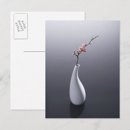 つぼの桜 ポストカード (正面/裏面)