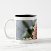 つぼの花の高角の眺め ツートーンマグカップ (左)