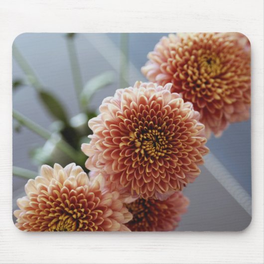 つぼの花の高角の眺め マウスパッド (正面)
