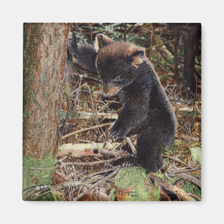 つまずいた マグネット