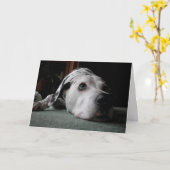 つまらない誕生日 カード (黄色い花)