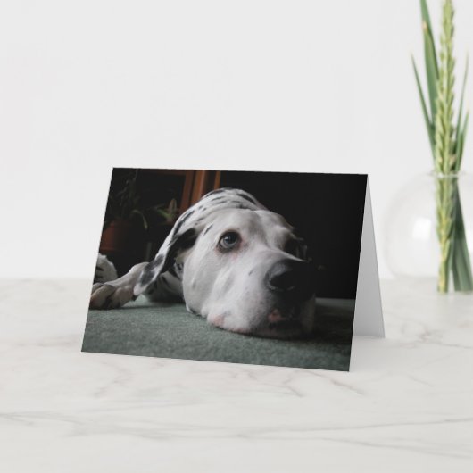 つまらない誕生日 カード (正面)